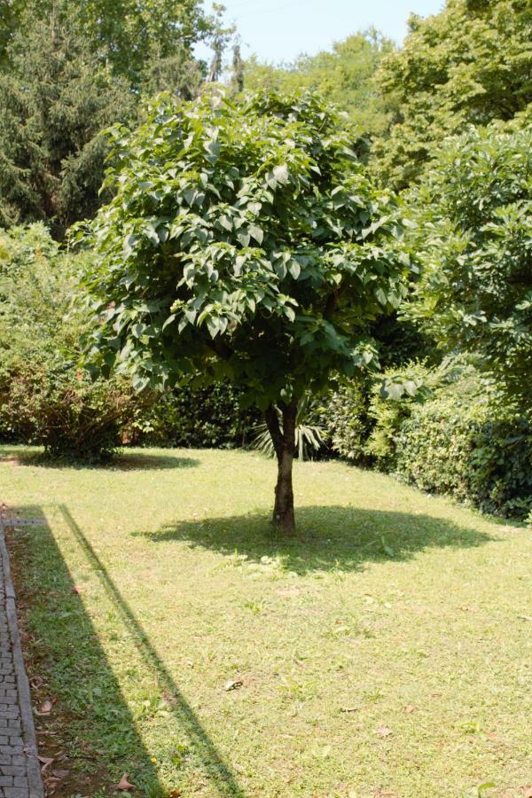Appartamento Le Magnolie 2 Mestre Exteriör bild