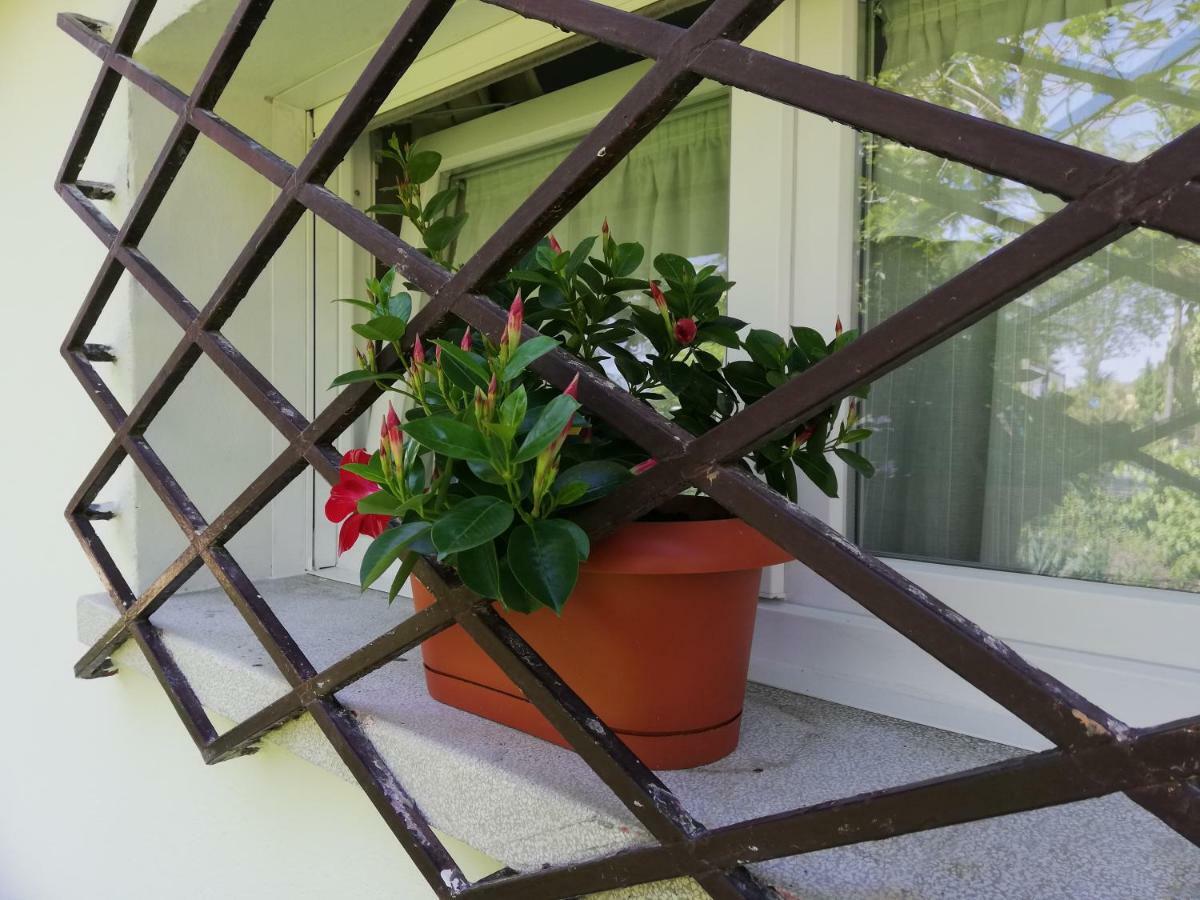 Appartamento Le Magnolie 2 Mestre Exteriör bild